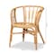 Baxton Studio Luxio Modern and Contemporary Natural Finished Rattan Chair 185-11870-Zoro - alternate 6